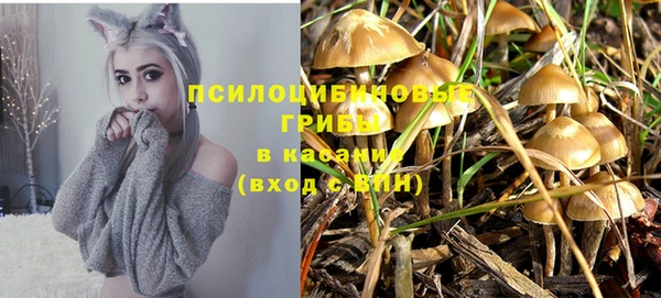 герыч Горнозаводск