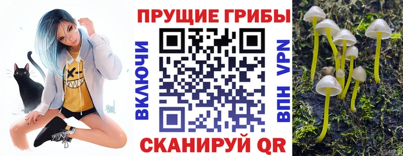 Псилоцибиновые грибы Magic Shrooms  hydra вход  Назарово  наркота 