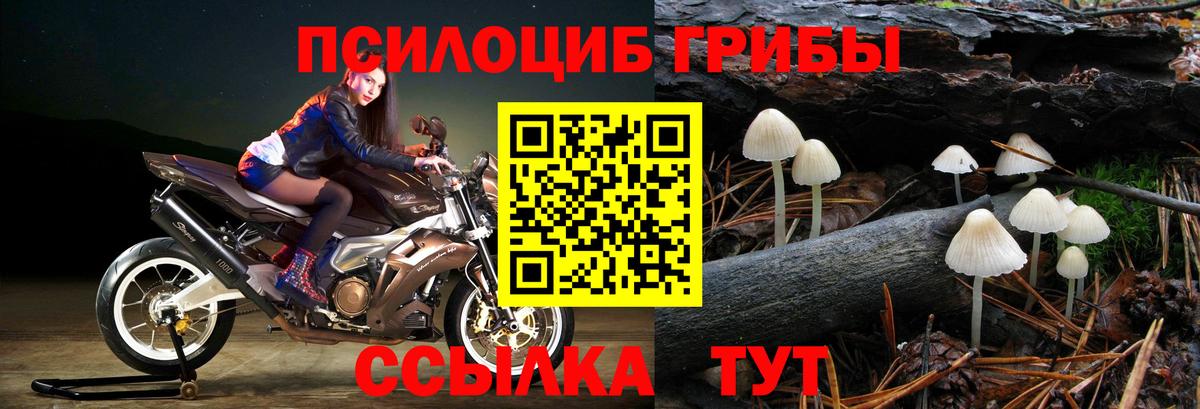 Псилоцибиновые грибы GOLDEN TEACHER  Псилоцибиновые грибы Cubensis  Назарово 