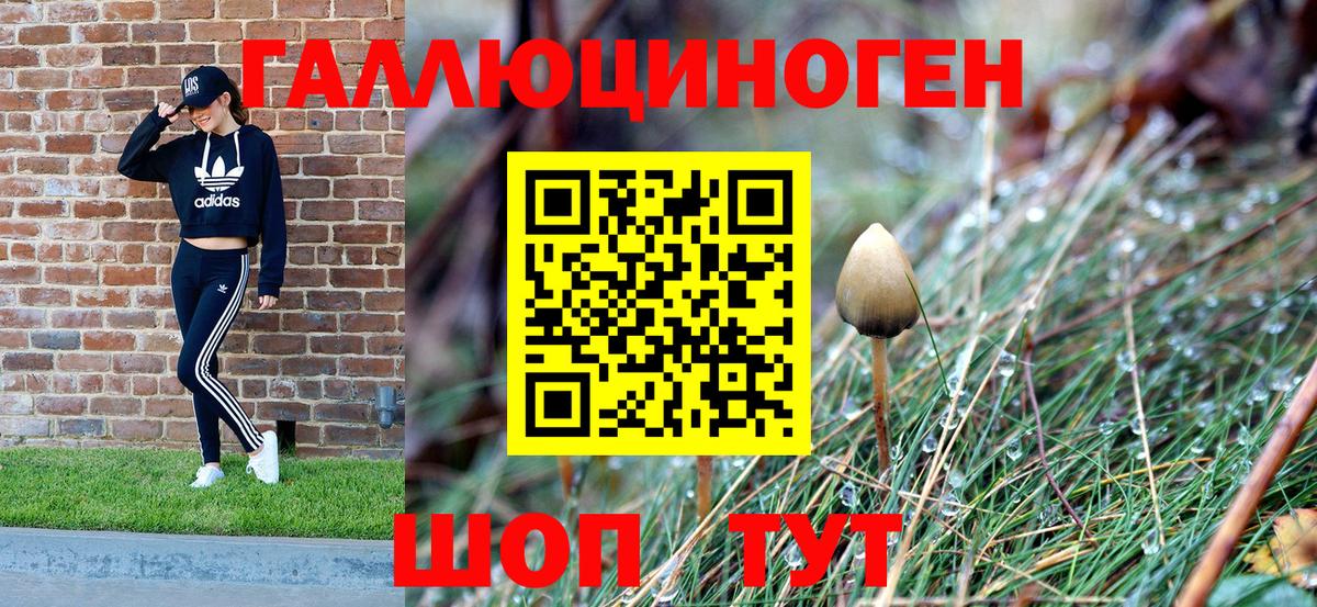 Галлюциногенные грибы ЛСД  Вход с VPN  Назарово  Псилоцибиновые грибы Cubensis 
