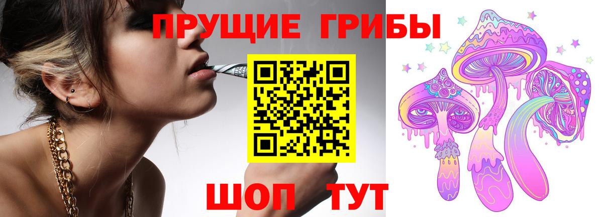 Псилоцибиновые грибы Psilocybe Назарово